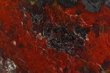 Polished Stromatolite (Collenia) Slab - Minnesota #129234-1